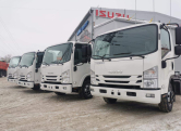 Isuzu NQR 12T   50 _11